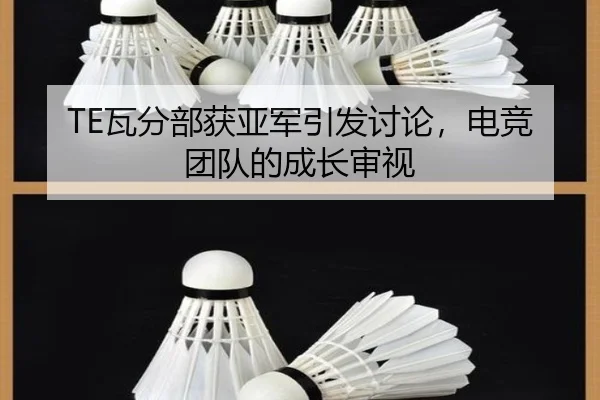 TE瓦分部获亚军引发讨论，电竞团队的成长审视